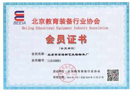 北京教育装备行业协会
